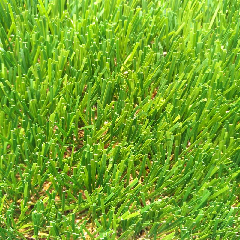garden synthetic Grass