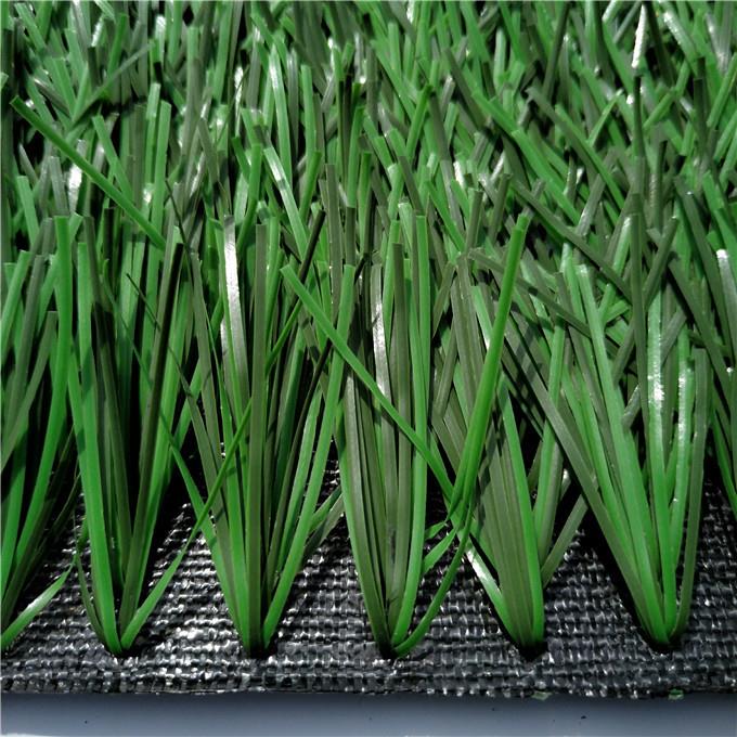 zoo tshaj plaws zoo dag dag nyom