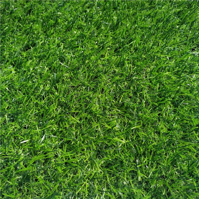 muab cov nyom rau thaj chaw02.jpg