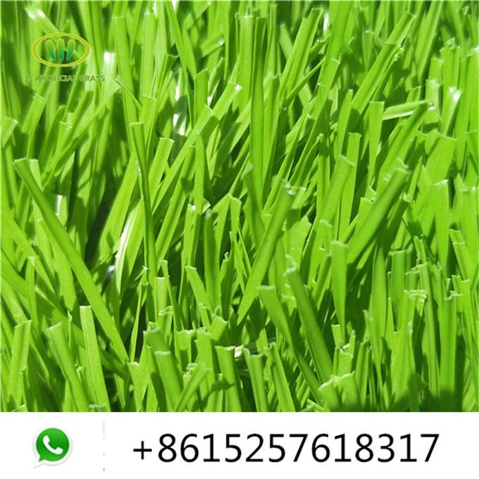 khoom cuav nplooj zauv00.jpg