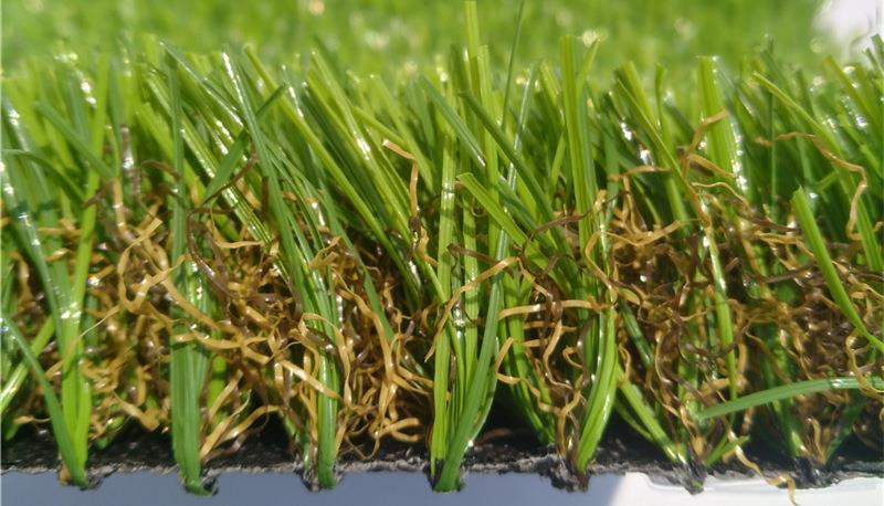 home landscaping  turf