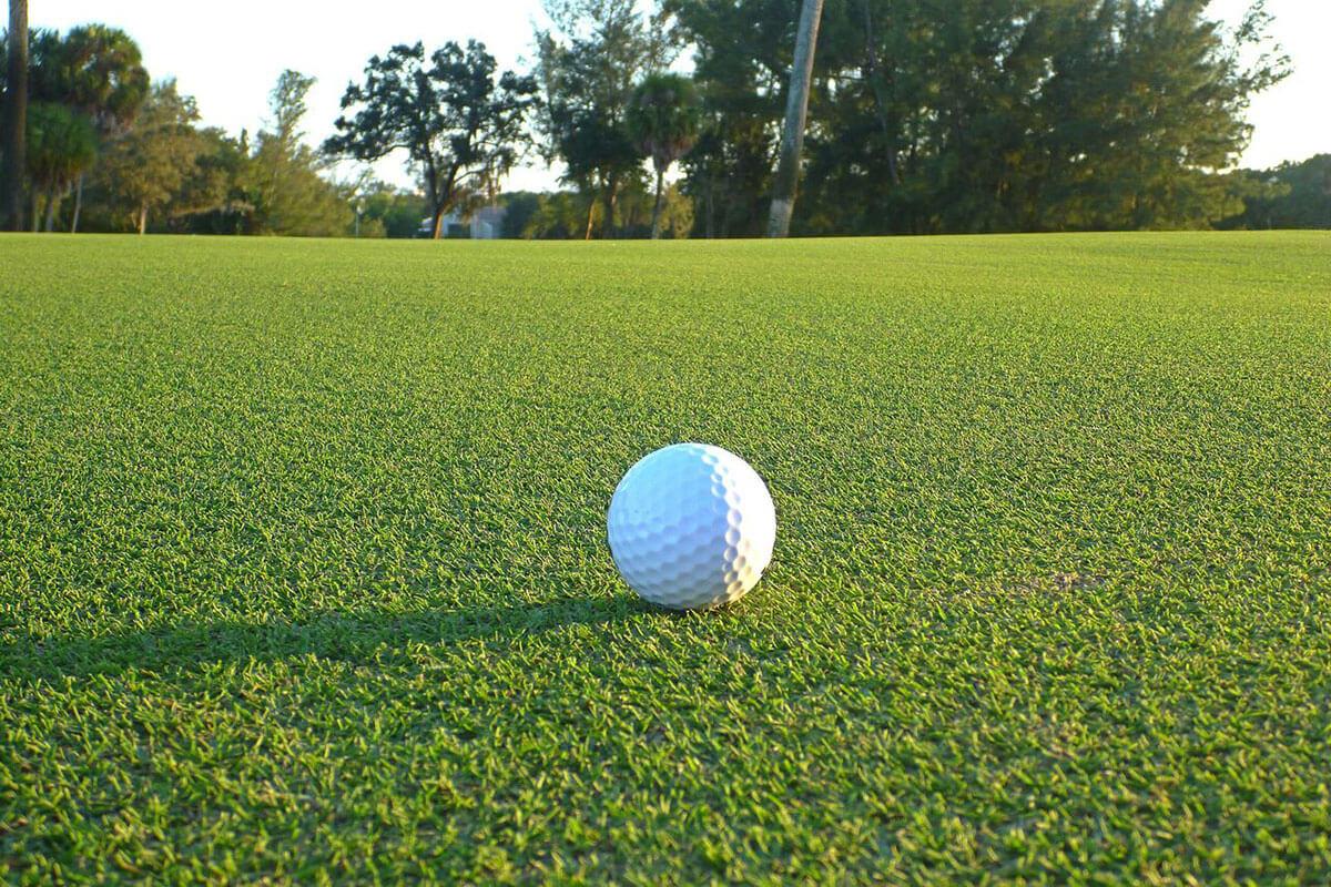 Elevate Golf Turf Yob