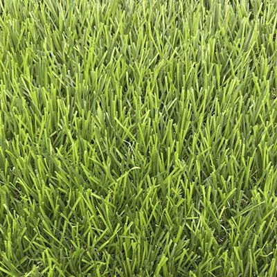 fake-turf-for-garden-from-js52391652168=.jpg