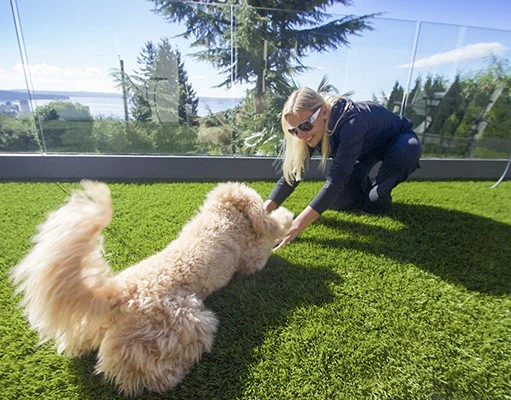 Artificial Grass Carpet for garden Artificial Grass Carpet for garden