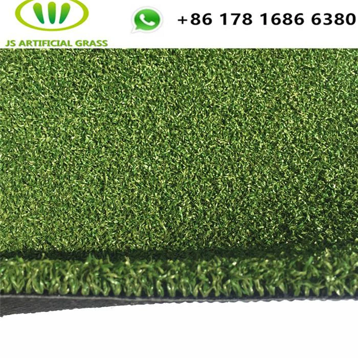 Putting Green Lawn