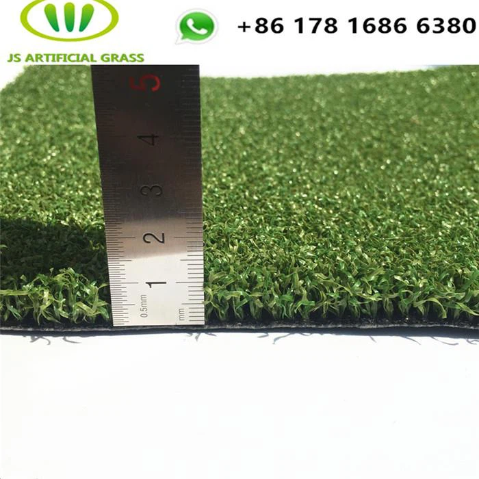 Putting Green Lawn