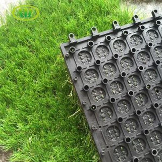 Siab Zoo Yooj Yim Kho Khoom Siv Dag Nyom Pobzeb