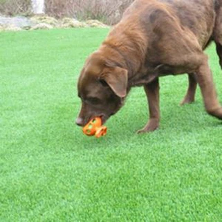 Khoom Nyom Khoom Ua Si Rau Cov Dev