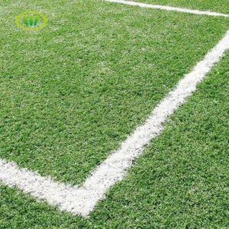 Tuaj Nyom Nyom Cov Ntaub Ntawv Kub