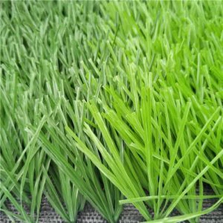 Nyom Nyom Rau Ncaws Pob