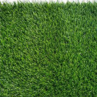 Nyom Nyom Rau Landscaping