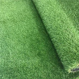 Chaw Ua Si Rau Cov Vaj Tse Rau Hom Tsev Kawm Ntawv