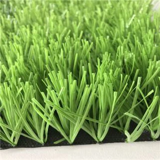 Khoom noj khoom haus dag