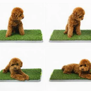 UV Resistant Odorless Huv Huv Zoo Dej Permeability Khoom Ua Si Zoo Cuav Nyom Rau Cov Tsiaj Tus Tsiaj