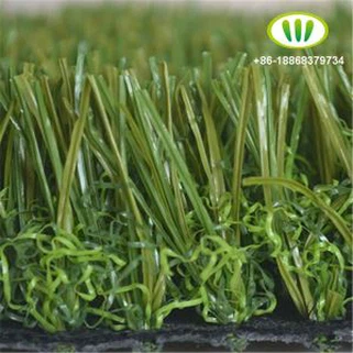 Tuam Tshoj Chaw Tsim Tshuaj Ncaj Ncej Backyard Dag Nyom Nyom