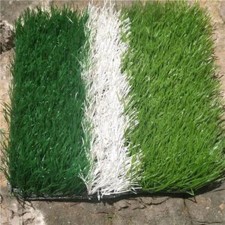 Suav Fake Nyom Nyom Ua Si Ncaws Pob Zeb