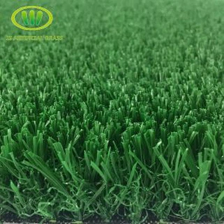 Fake Nyom Turf