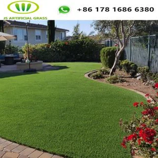 Zoo Zoo Artificial Nyom