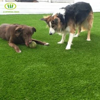 Kub Muag Fake Nyom Rau Cov Tsiaj Txhu Vaj