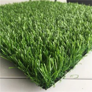 Nyob Sab Hauv Tsev Dag Dag