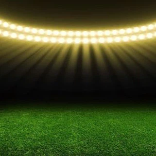 Tshiab kev ua tau zoo S zoo 50 hli ci ntsuab Sab nraum zoov Football ncaws pob fake fake sports Nyom