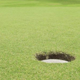 Sab nraum zoov Synthetic Turf