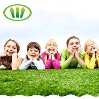 Tsiaj Qus 20 hli Kev Nyab Xeeb Siv Khoom Nyom Tsiaj rau cov dev thiab miv