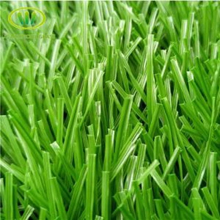 Ncaws Pob Taws Kub Ua Si