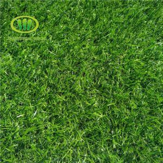 Khoom cua nyom rau vaj tsev