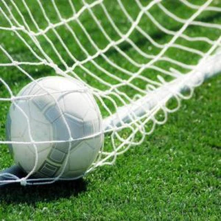 UV resistant 50 hli soft art ntaub pua plag fake yas kab rau lub tshav ncaws pob