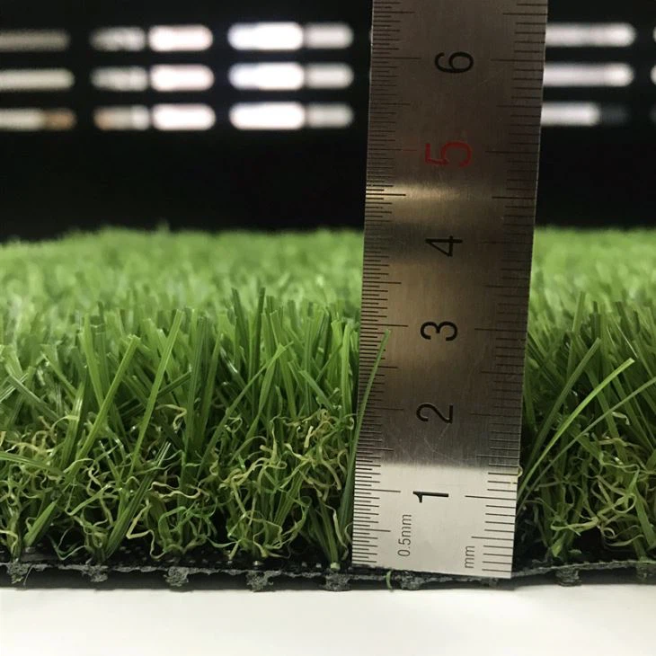 Garden Landscape Grass