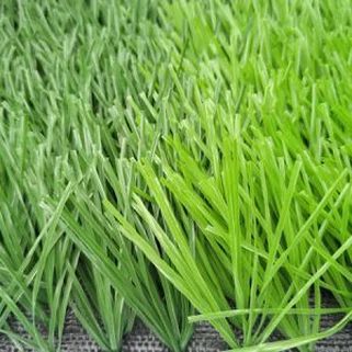 Fake Ncaws Pob Rau Football Teb