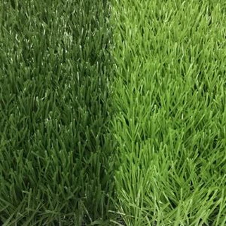 Football Nyom Field Nto