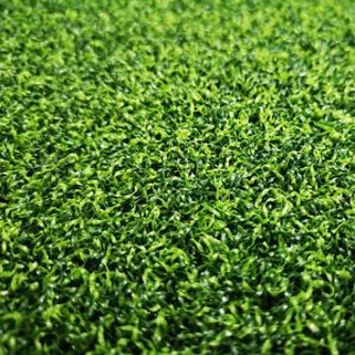 Golf Muab zaub ntsuab rau hauv tsev