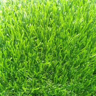 Sab Nraum Rau Cov Ntaub Ntawv Tawm Sab Nraud