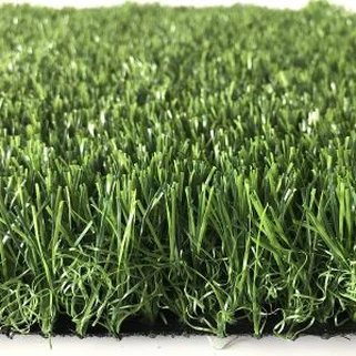 Cov Khaub Ncaws Nyom Nyom