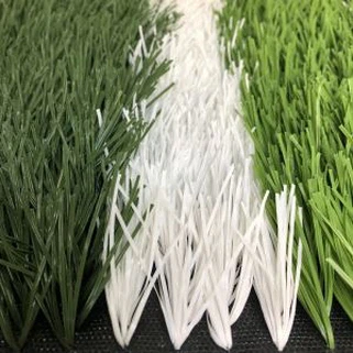 Mos Muaj Poj Niam Lub Zog Txiaj Ntsig