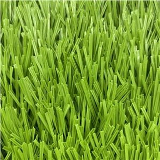 50 hli Khoom Nyom Ua Si Ncaws Pob Taws Kub Ua Si Ncaws Pob Zeb Nyom