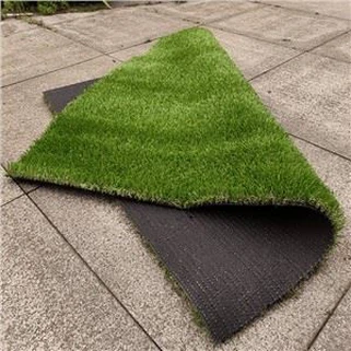 Sab nraum zoov Fake nyom rau dev