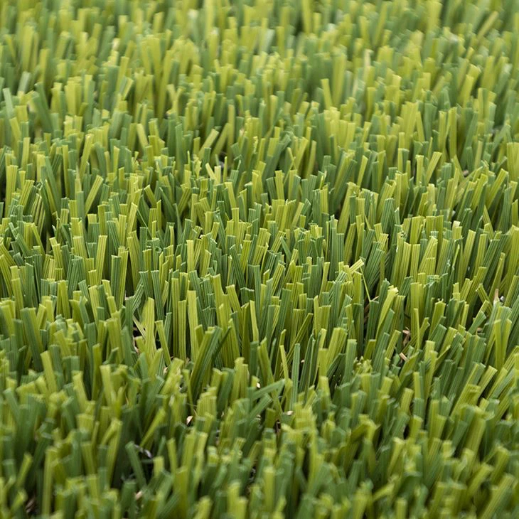 Home Landscaping Turf