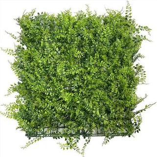 Khoom Plig Phab Ntsa Nyom Nrog Paj Dawb