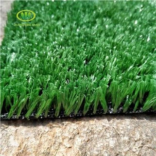 Qhov Muag Zoo Pheej Yig 10 hli Khoom Chaw Ua Si Nyom Nyom Rau Toj Toj roob hauv pes