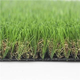 Selron Pob Zeb Diamond Nyom Turf