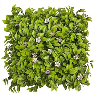 Daj-ntsuab Fake Phab Ntsa Nyom