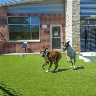 Garden Pet Rug Sab nraum zoov Ua Si Artificial Turf Rug