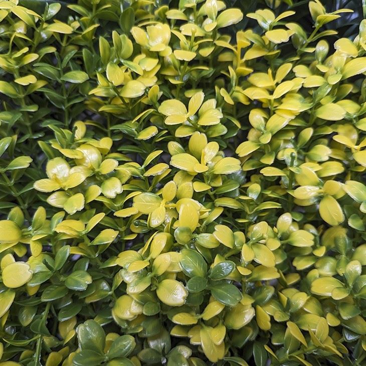 Simulated Green Plant Wall 